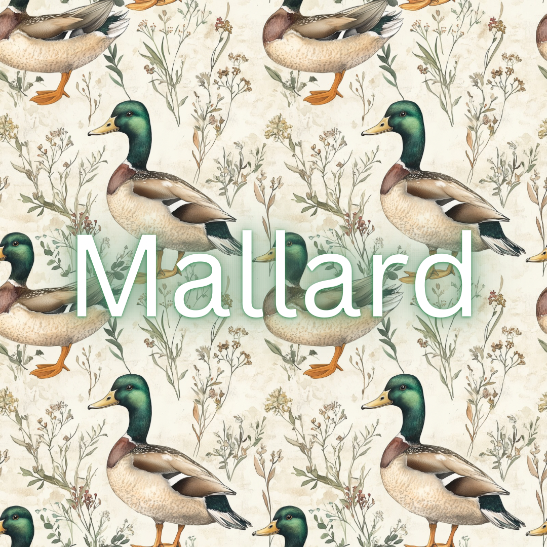 Mallard